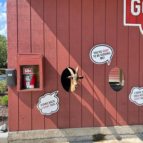 366528760 313284061080407 646738393314628561 n.jpg