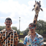 366941013 618971460075896 1446825431230903124 n