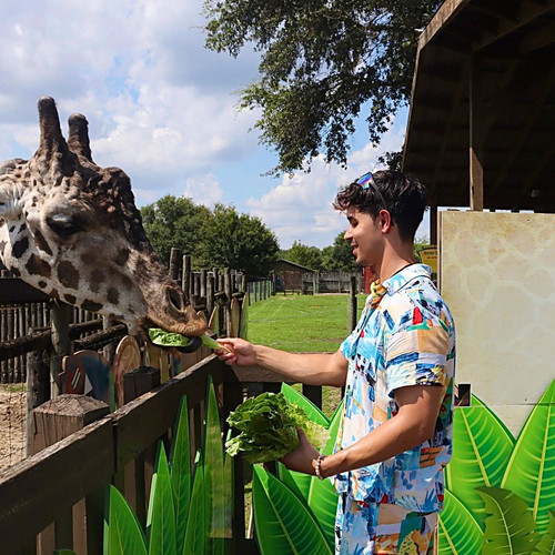 366472186 226361036599300 1648245903755962909 n.jpg