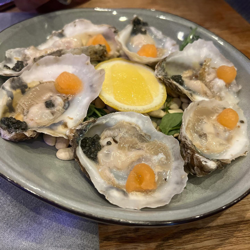 409069604 1086455082596255 6041335551744382685 n.jpg