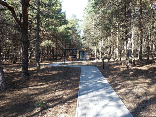 20260226 123038 071958.jpg