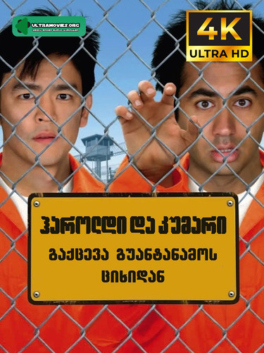 Harold & Kumar Escape From Guantanamo Bay cover