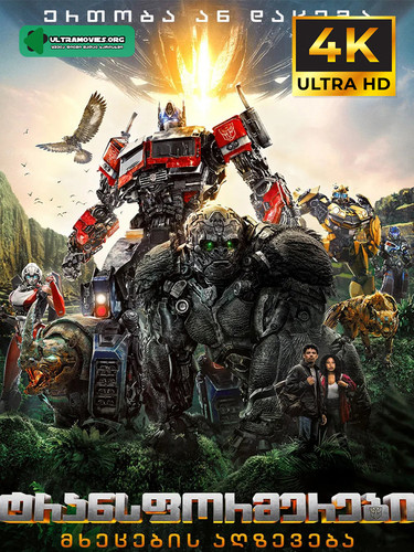 Transformers Rise of the Beasts cover.jpg