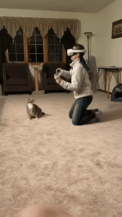 qfRkk5x.gif