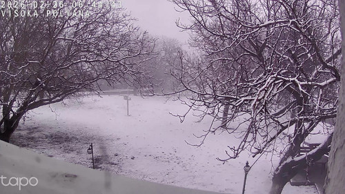 782051226B8E 20260226064444852 cam0.jpg