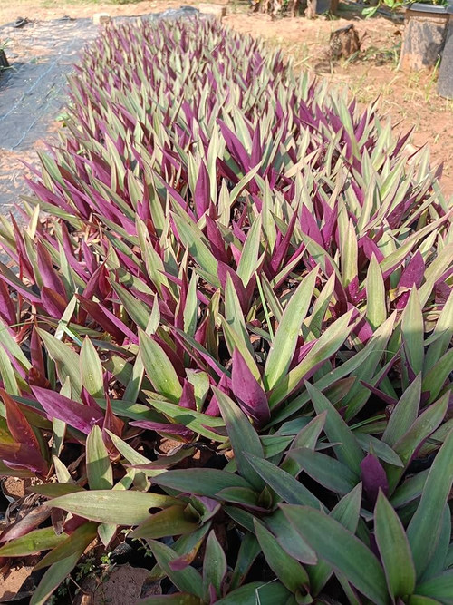 f3d3519a cd19 44d2 b39d e45bd226a280.jpg