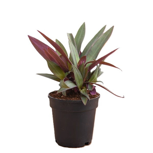 bcfc6002 bc04 4221 9409 15ee6026d3c1.jpg