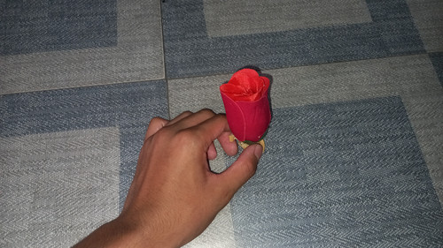 20260227 083030.jpg