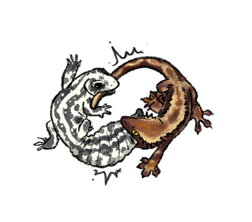 1040g3k831t0g2qtolk005ookc054gbgnt1ucq6o!nd dft wgth jpg 3.jpg