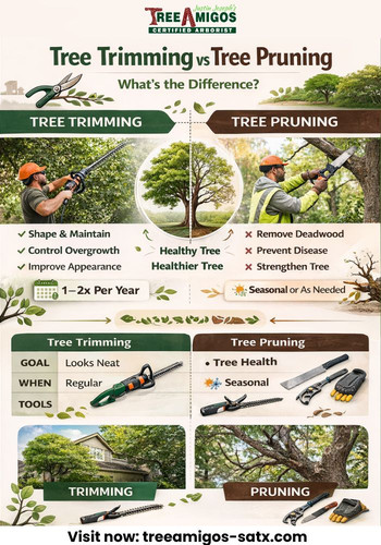 Tree Trimming vs Tree Pruning.jpg