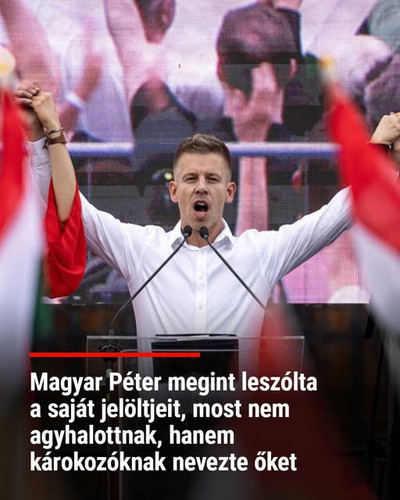 641649236 1520130996784209 5947584631283773222 n.jpg?stp=dst jpg s640x640 tt6& nc cat=102&ccb=1 7& n.jpg