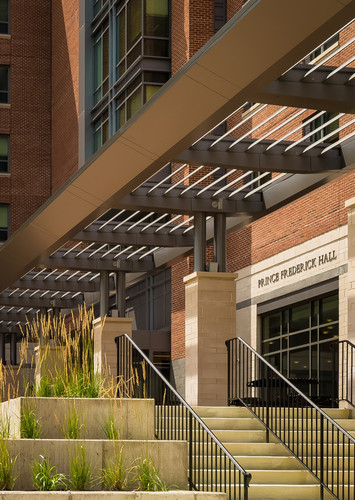 PFREDDY E1B9495 2 908x1280.jpg