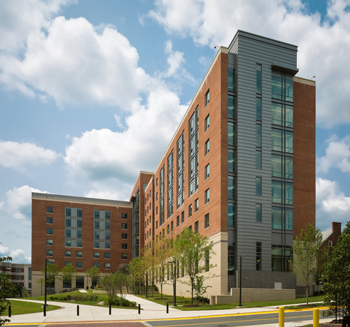 PFREDDY Short wing 02 better 1367x1280.jpg