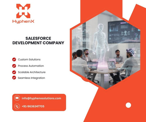 Salesforce Development Company.jpg
