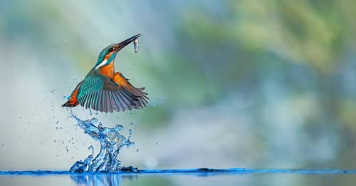 17078235737976428089?url=https%3A%2F%2Fkep.cdn.index.hu%2F1%2F0%2F6778%2F67787%2F677876%2F67787661 5.jpg