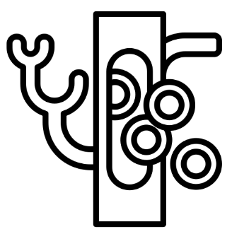 drenaje linfatico.png