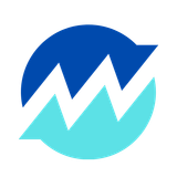 Icon 605