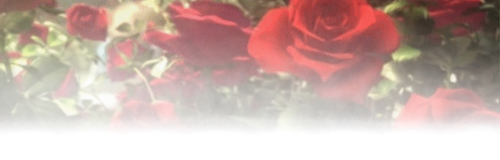 Untitled622 20260226175304.png