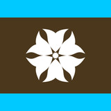 Picsart 26 02 26 19 43 27 715