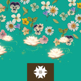 Picsart 26 02 26 19 46 44 832