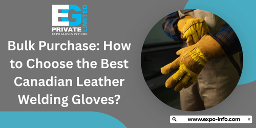 Bulk Purchase How to Choose the Best Canadian Leather Welding Gloves.png