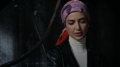 frame4.jpg