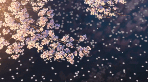 ezgif.com animated gif maker (25).gif