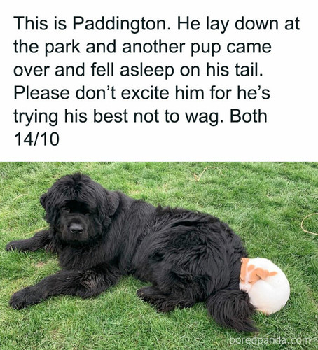 ridiculous relatable memes 7 69737a04e1b0b 700.jpg