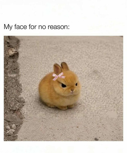 DUxY8msk6it png 700.jpg