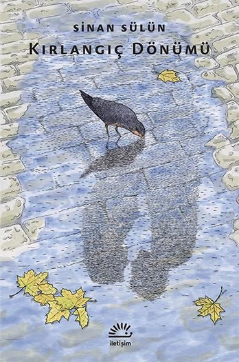 kirlangic donumu.jpg