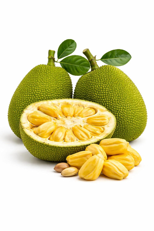 615SDVATKaL. SL1500 .jpg