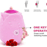 7 61f3eD72Y+L. AC SL1500 