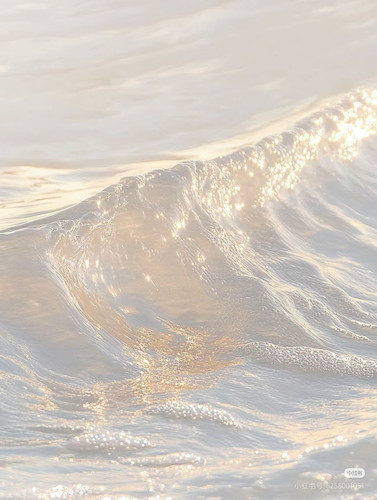 Camera XHS 17721771782891040g2sg31djmug6ogmcg5oqhvbk65n7l14kpeqg.jpg