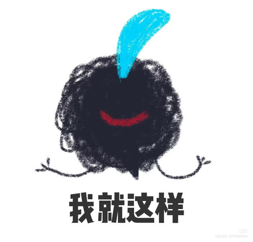 Camera XHS 1764946684829.jpg