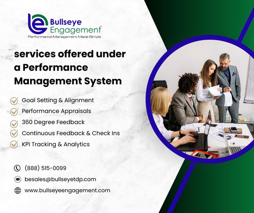 Services offered under a Performance Management System.jpg