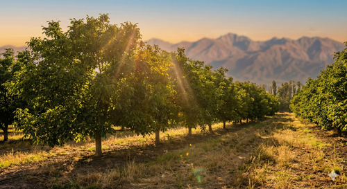 Gemini Generated Image xxzcbexxzcbexxzc.png