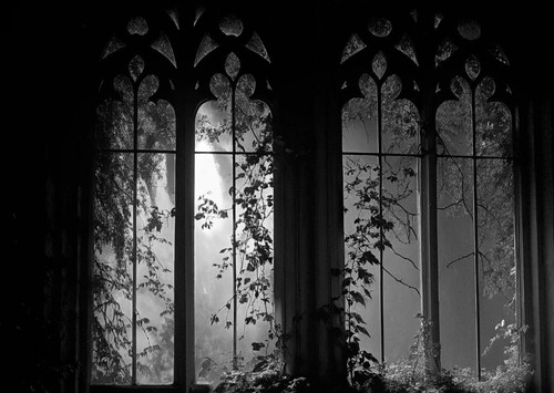 IMG 20260207 071410.jpg