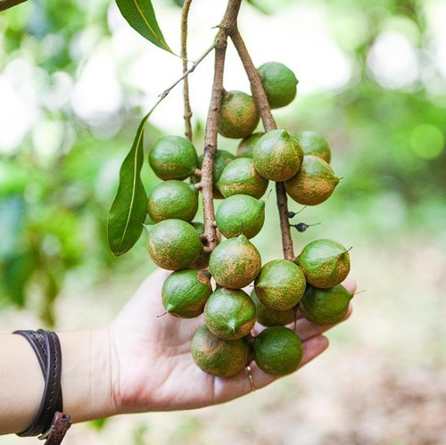 Screenshot 2025 02 26 194845.jpg