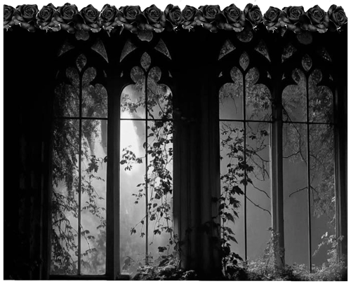 Screenshot 2026 0227 210344.png