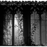 Screenshot 2026 0227 210344