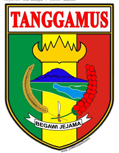 WhatsApp Image 2026 01 31 at 09.29.39.jpg