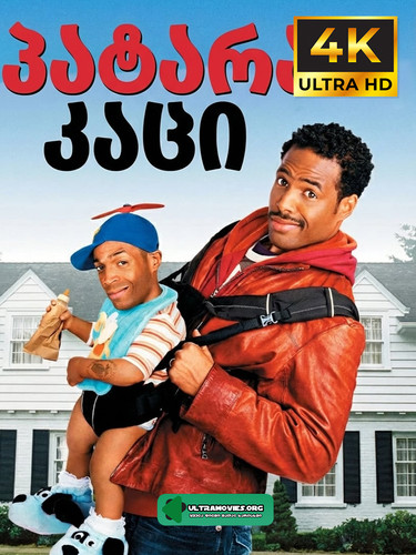 Little Man Cover.jpg