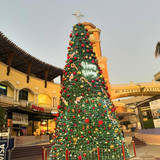 412288145 278397248194696 5662490987840844617 n