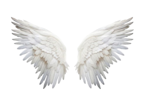 tumblr 0882a209851a954af921a18debc557a8 5551d177 500.png