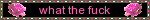IMG 0446.gif
