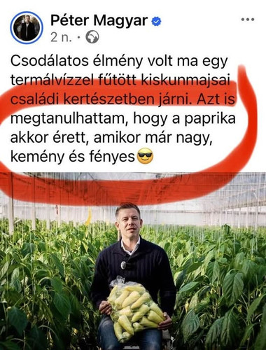 644721865 1321103653215187 3128779270907898864 n.jpg?stp=cp6 dst jpg p526x296 tt6& nc cat=101&ccb=1 .jpg