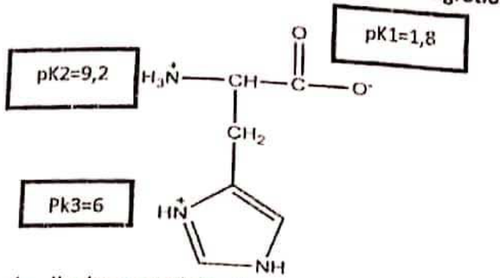 biochimie emd2 2019 ce 0001.png