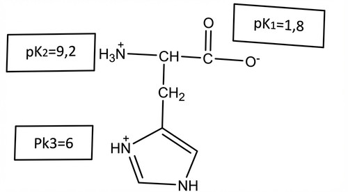biochimie emd2 2019 ce 0001 nbp.jpg