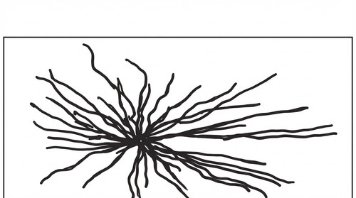 histologie emd2 2018 ce 0002 nbp.jpg
