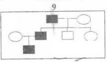 genetique emd2 2017 ce 0002.png